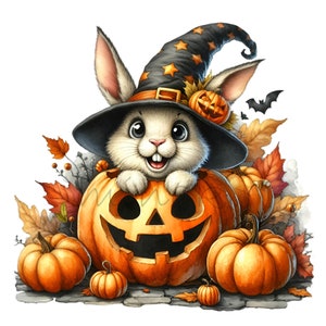 May include: A white rabbit wearing a black witch hat with gold stars sits inside a carved orange pumpkin. The pumpkin has a wide, toothy grin. There are several other pumpkins around the rabbit, some with leaves and vines.