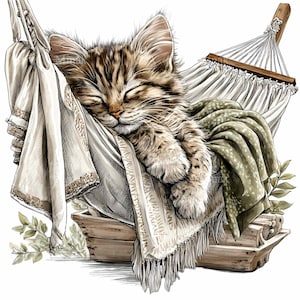May include: A detailed illustration of a sleeping kitten in a hammock. The kitten has brown and tan fur and is curled up on a white hammock with a green blanket. The hammock is suspended from a wooden frame, and there is a white cloth draped over the side.