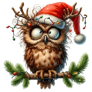 Hibou de Noël PNG Clipart – Hibou drôle avec bonnet de Noel, rameaux comme bois et lumières, oiseau de vacances mignon sur une branche de pin pour sublimation