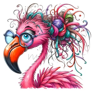 15 imágenes prediseñadas de flamencos PNG – Pájaro nerd PNG – Arte animal divertido para manualidades de sublimación, vasos, pegatinas, tarjetas e impresiones de pared