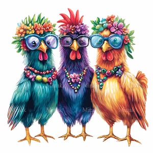 15 drie grappige kippen png-clipart, kleurrijke vogels met glazen en bloemen, download eigenzinnige boerderijkip
