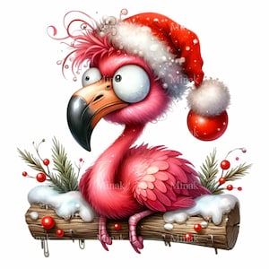 12 cliparts flamant rose de Noël PNG - oiseau de vacances drôle PNG - flamant rose bonnet de noel pour sublimation, cartes, travaux manuels d'hiver