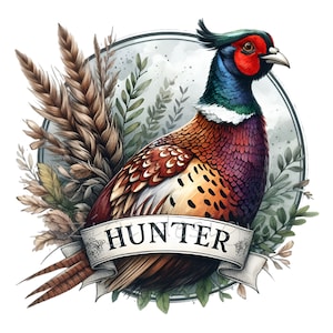 10 imágenes prediseñadas de faisán cazador con plumas de colores y trigo, ilustración rústica de pájaro del bosque para decoración y regalos de caza.
