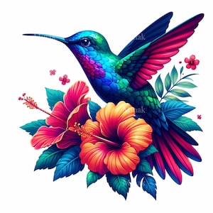 20 PNG Hibiskus Kolibri Clipart - Bunte Vogel Blume PNG - Tropische Sommerkunst für Karten, Becher und Sublimationskarten