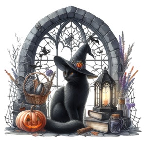 12 Halloween Katze PNG Clipart - Hexe Katze mit Hut, Kürbis, Laterne, Büchern, Spinnweben, Kessel, Besenstiel & gotischem Fenster