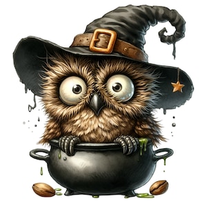 12 Clipart PNG drôle de chouette sorcière, chouette effrayante mignon dans un chaudron avec chapeau, téléchargement numérique pour la sublimation d'Halloween