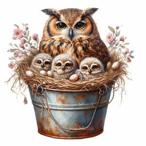 15 Clipart PNG famille chouette - chouette majestueuse avec bébé chevêches dans un nid rustique, art de la ferme vintage, téléchargement numérique