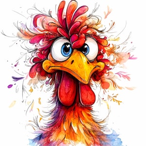 15 Lustige Hahn PNG Clipart in Aquarell-Stil | Buntes Huhn vom Bauernhof mit großen Augen | Sofortiger digitaler Download