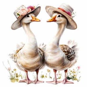 20 oies mignonnes PNG, élégantes oies dans des cliparts chapeaux floraux, art numérique vintage oiseau de ferme, téléchargement par sublimation pays