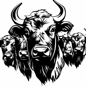 4 file di taglio SVG Bison Herd SVG - Quattro potenti teste di bufalo - Arte digitale rustica della fauna selvatica per Cricut e Silhouette