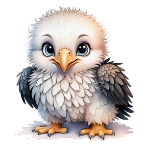 23 Baby Eagle Clipart PNG - Uroczy biały i szary orzeł z niebieskimi oczami, cyfrowe pobieranie grafiki