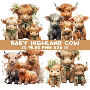 25 PNG Baby Highland Cow Clipart - Cute Calf PNG Bundle - Rustic ...