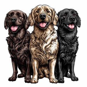 15 Cute Retriever Dog Clipart Labrador Trio PNG Dog Sublimation Art 15-cute-retriever-dog-clipart-labrador-trio-png-dog-sublimation-art