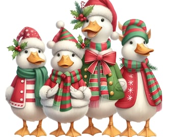 12 PNG Christmas Ducks Holiday Winter Bird Graphic