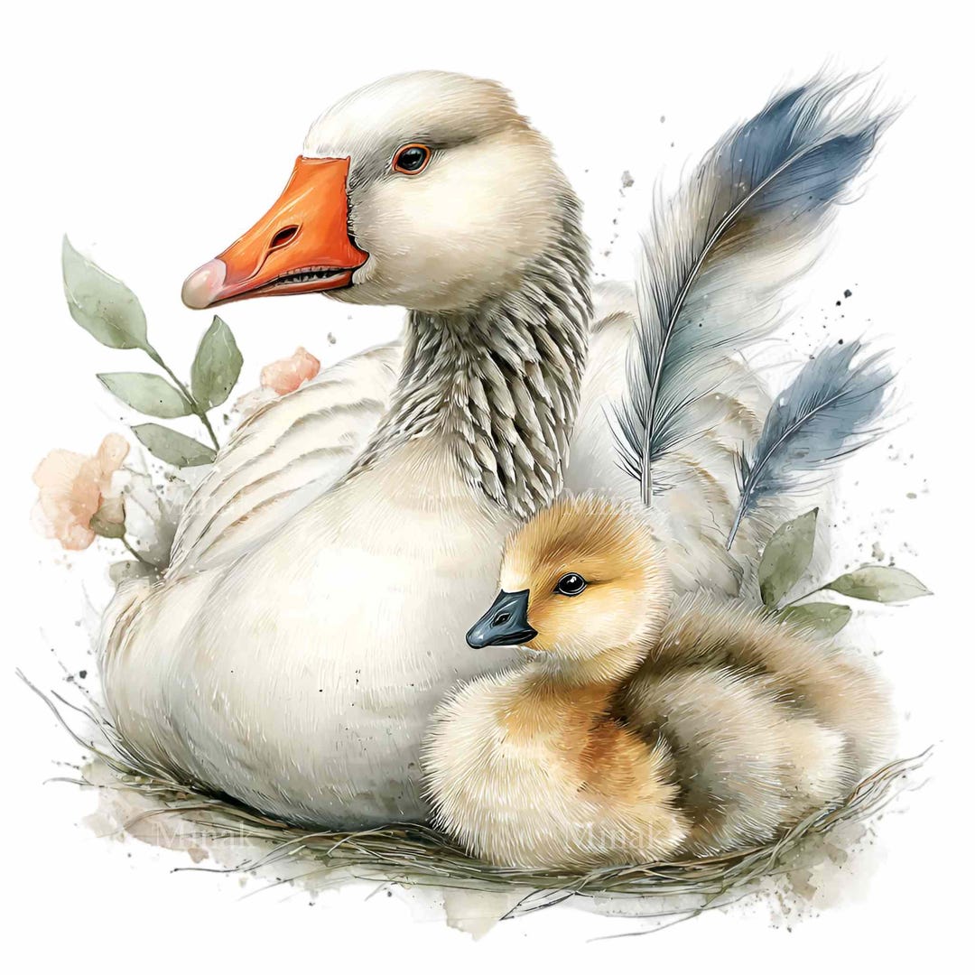 16 PNG Goose Clipart, Watercolor Mom With Baby, Farm Nursery Animal ...