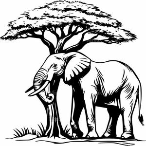 5 éléphant SVG coupe fichier, Silhouette de la faune africaine, scène de savane avec arbre, Clipart animaux Safari pour Cricut & Laser
