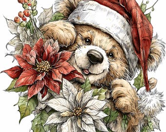 10 PNG Baby Bear Poinsettia Christmas Wreath Holiday Clipart