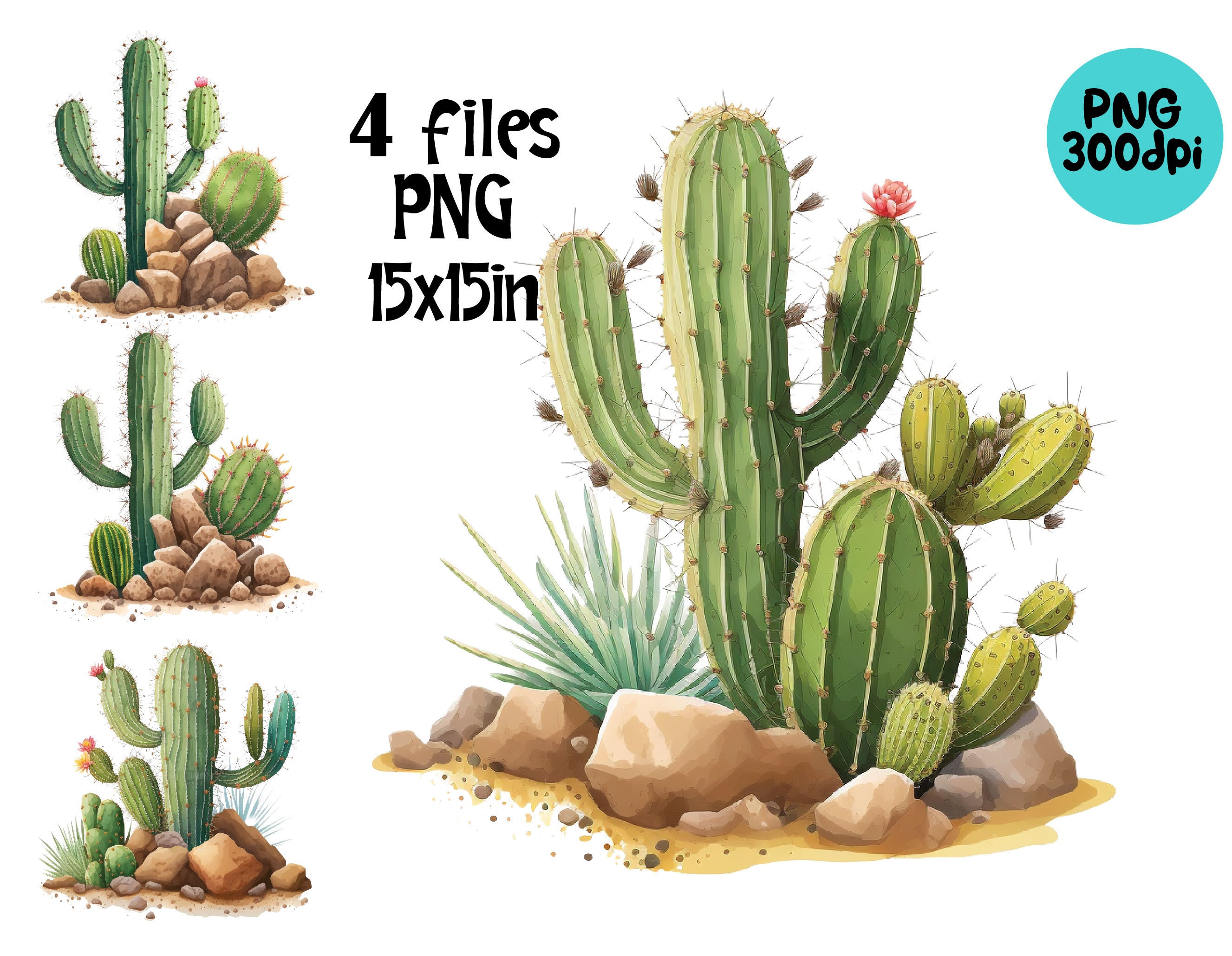 cactus clipart png