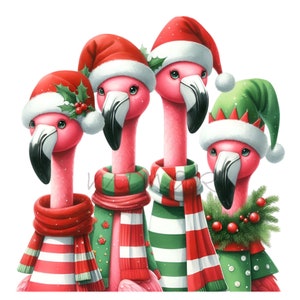 May include: Four pink flamingos wearing festive Christmas attire. Each flamingo is adorned with a Santa hat or elf hat, and a scarf or sweater in red and green. The image has a white background.
