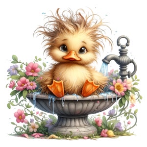 15 Clipart PNG di anatroccolo bagnato, simpatico anatroccolo soffice in una vasca per uccelli con fiori e rubinetto dell'acqua, download di animali primaverili