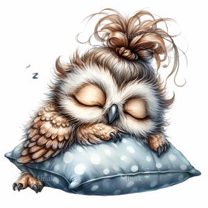 16 PNG Sleeping owl clipart – Baby owl PNG – Woodland animal for nursery wall art, baby shower decor or kids' room printable design