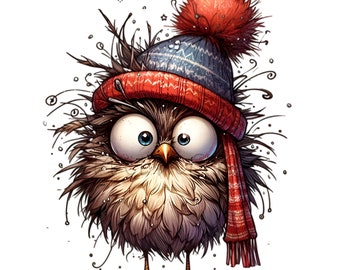 12 Winter Owl PNG Beanie Bird Clipart Fluffy Scarf Sublimation Graphic