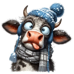 15 divertidas imágenes PNG de vacas con gorro azul de invierno, copos de nieve y bufanda: ilustración divertida de un ternero de las Tierras Altas con la lengua fuera
