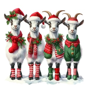 15 chèvres de Noël PNG Clipart, drôles d'animaux de vacances dans des tenues de fête et des chapeaux, illustration de dessin animé d'hiver pour cartes et travaux manuels