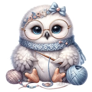 12 PNG niedliche Baby Eule Clipart mit Brille, Strickgarn, blauem Schal, Blumenkrone, Schleife, Kawaii PNG für Sublimationstechniken