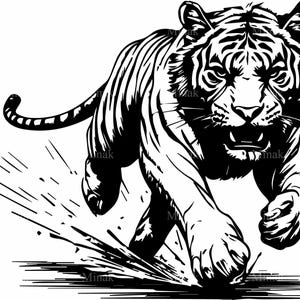 Può includere: Un'illustrazione in bianco e nero di una tigre che corre con la bocca aperta, mostrando i suoi denti. La tigre corre attraverso un campo d'erba, e c'è uno schizzo d'acqua dietro di lei.