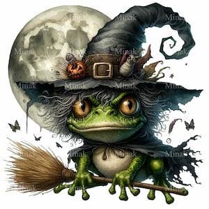 May include: A green frog wearing a witch's hat and holding a broom. The frog has a grumpy expression and is flying in front of a full moon.