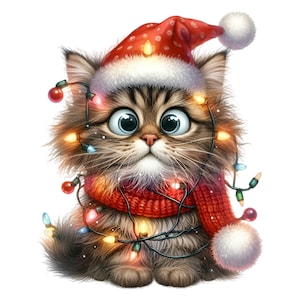 10 PNG clipart fofo de gatinho de Natal, chapéu de Papai Noel com luzes, cachecol vermelho, PNG festivo de feriado para sublimação, cartões, artesanato