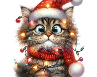 10 PNG Funny Christmas Cat Santa Hat Festive Lights Clipart