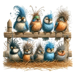 12 PNG Pájaros divertidos – Pájaro de pelo desordenado PNG – Clipart de animales lindos para tarjetas, manualidades, decoración y proyectos de diseño peculiares