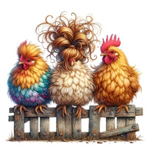 Colorful Chickens 10 PNG Clipart Adorable Chickens With Fancy ...