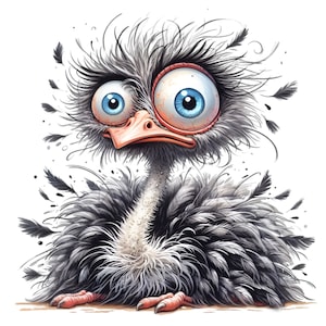 Imágenes prediseñadas de avestruz, imágenes prediseñadas de emú, 15 imágenes PNG de aves divertidas
