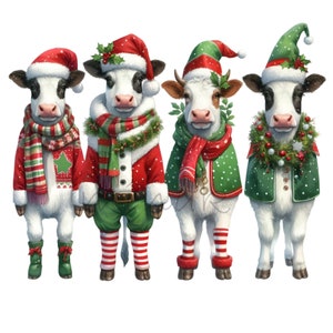 12 PNG clipart de vaca de Natal – Vaca festiva PNG – Animais de fazenda engraçados em trajes de Natal para cartões, artesanato e sublimação de inverno