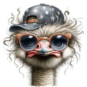 15 cliparts PNG cool autruche, autruche drôle avec des lunettes de soleil et une casquette, Art numérique oiseau original