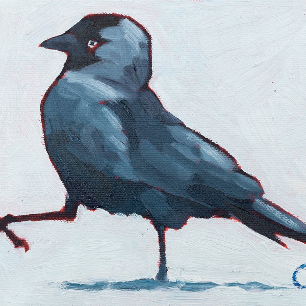 Jackdaw #4 - Ltd edition Giclee print -