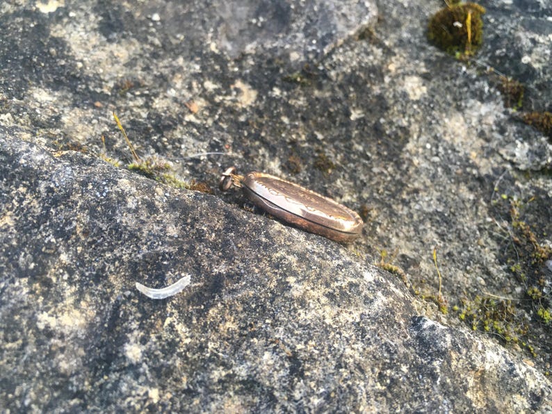 May include: A gold-colored locket with a chain, lying on a gray, rocky surface with green moss.