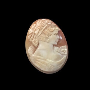 Antique loose shell cameo profile of a lady