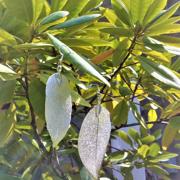 Natural Real Leaf Earrings Dipped in Silver Color Coating for Women/Girls