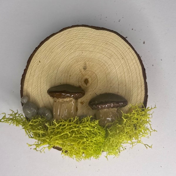 Shroom & moss magnet