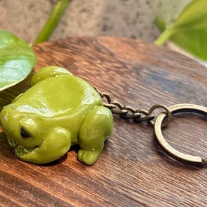 May include: A green frog keychain with a bronze key ring. The frog is sculpted in a realistic style and has a glossy finish.