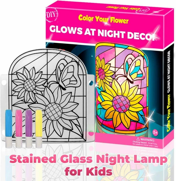 DIY Kid Lamp DIY Kit Make Stained Glass Nightlight With Window Paint and  Circuit Creative Arts and Crafts for Girls and Boys 