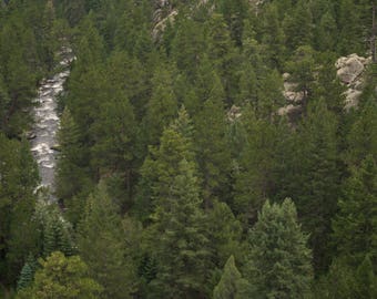 Stream