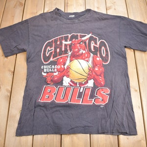 Vintage 1990s Chicago Bulls NBA Graphic T-Shirt / Sportswear / Vintage Bulls Tee / Single Stitch / Made In USA