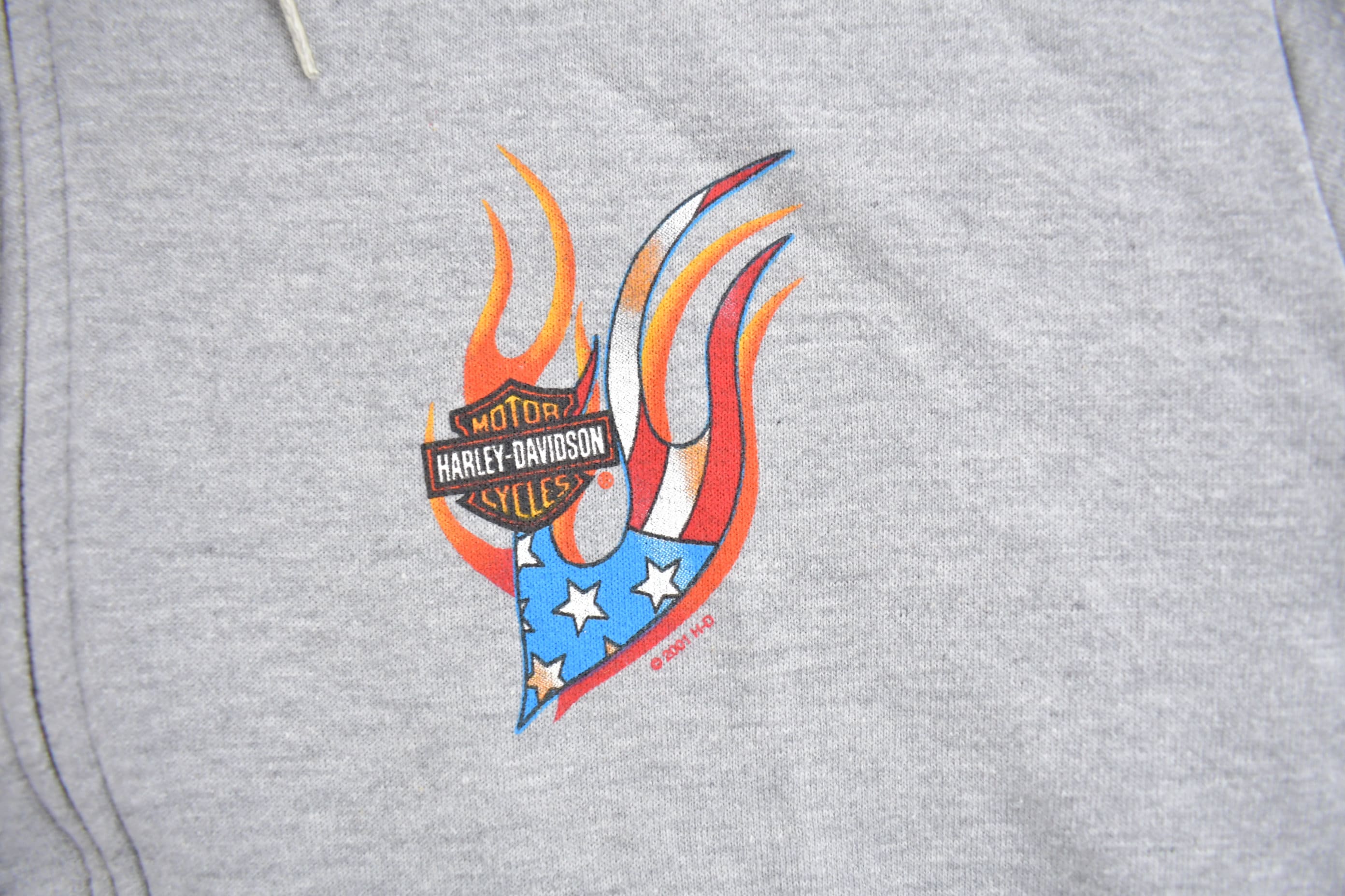 Vintage 2001 Harley Davidson Racine Wisconsin Zip up Hoodie / Etsy