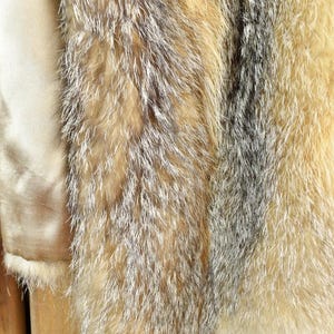 May include: Close-up of a fur coat with a mix of tan, brown, and gray fur. The coat has a silky, light-colored lining. The fur appears soft and textured, with a natural, wild look. The coat is likely for cold weather.