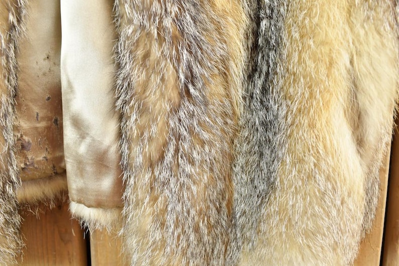 May include: Close-up of a fur coat with a mix of tan, brown, and gray fur. The coat has a silky, light-colored lining. The fur appears soft and textured, with a natural, wild look. The coat is likely for cold weather.